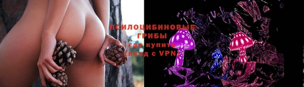 PSILOCYBIN Алексеевка