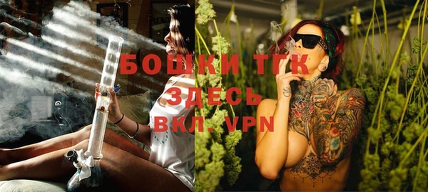 стафф Россошь