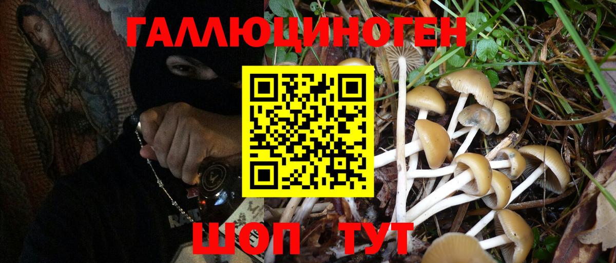 Псилоцибиновые грибы прущие грибы Дзержинский