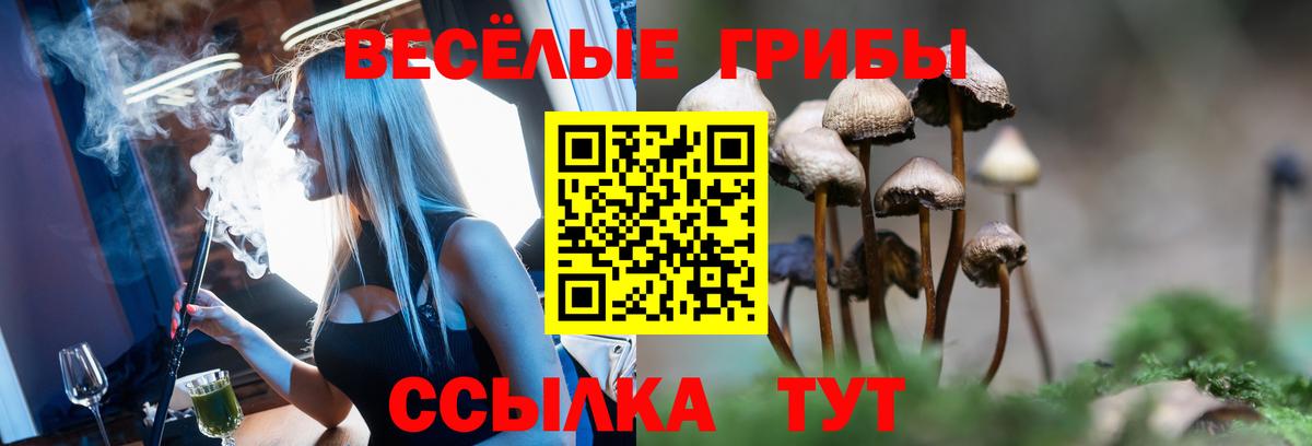 купить наркотики сайты  Галлюциногенные грибы GOLDEN TEACHER  Псилоцибиновые грибы прущие грибы  Вход с VPN  Дзержинский 